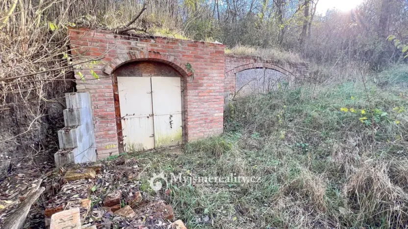 Prodej - jiné, Dyjákovičky, 226 m2