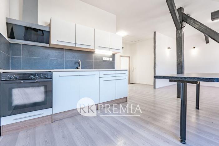 Prodej činžovního domu, Ústí nad Labem - Krásné Březno, Drážďanská, 534 m2