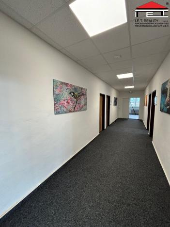 Pronájem skladu, Ostrava - Kunčice, Frýdecká, 225 m2