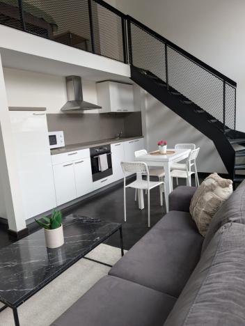 Pronájem bytu 1+kk, Praha - Karlín, Křižíkova, 40 m2