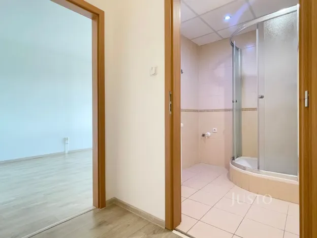 Pronájem bytu 1+1, Most, Brněnská, 39 m2