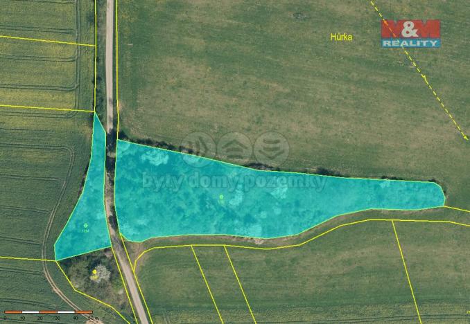 Prodej lesa, Načeradec - Pravětice, 19561 m2