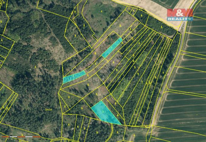 Prodej lesa, Načeradec - Pravětice, 19561 m2