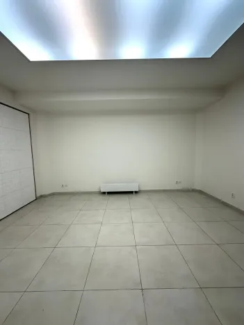 Pronájem obchodního prostoru, Praha - Karlín, Křižíkova, 54 m2