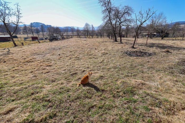 Prodej rodinného domu, Dražovice, 145 m2