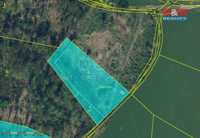 Prodej lesa, Dobruška - Pulice, 19927 m2