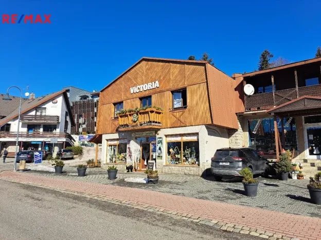 Pronájem bytu 1+kk, Harrachov, 12 m2