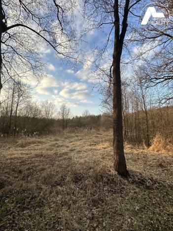 Prodej zahrady, Heřmaň, 4971 m2