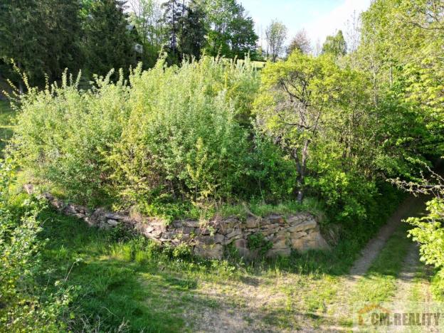 Prodej pozemku pro bydlení, Lipová - Seč, 3964 m2