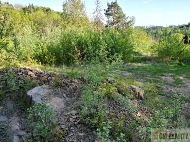 Prodej pozemku pro bydlení, Lipová - Seč, 3964 m2