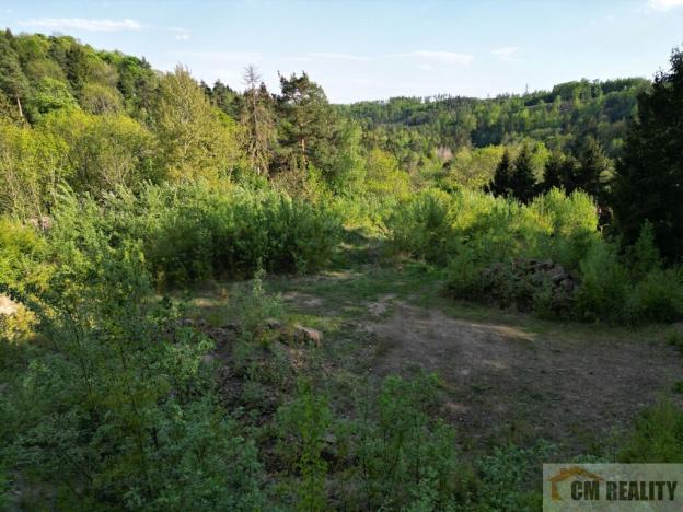 Prodej pozemku pro bydlení, Lipová - Seč, 3964 m2