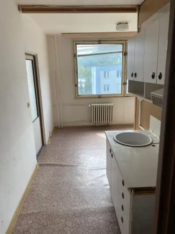 Prodej činžovního domu, Ústí nad Labem - Klíše, Na Okraji, 3000 m2