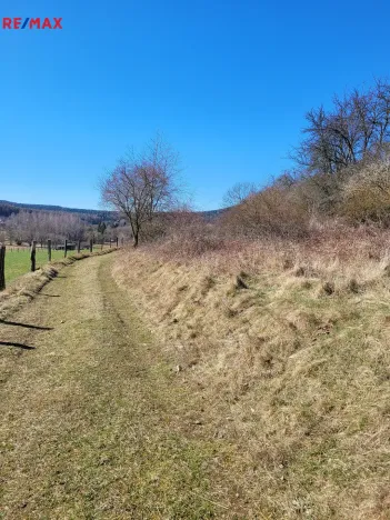 Prodej lesa, Běštín, 21632 m2