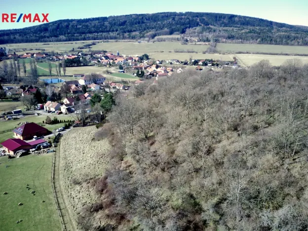 Prodej lesa, Běštín, 21632 m2