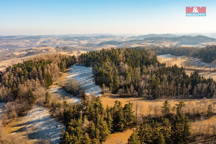 Prodej lesa, Nišovice, 42761 m2
