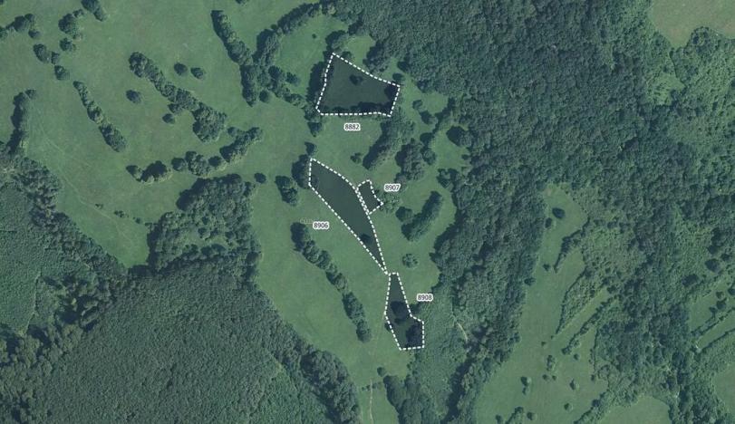 Prodej pole, Javorník, 14070 m2