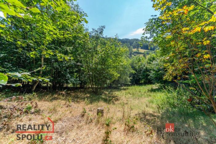 Prodej pozemku pro bydlení, Janov nad Nisou - Hraničná, 1161 m2