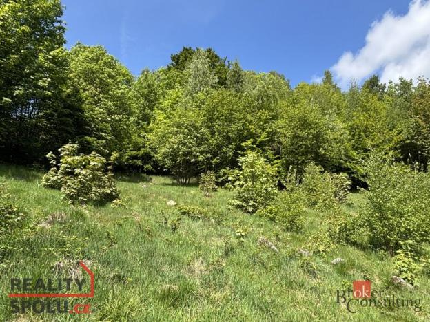 Prodej pozemku pro bydlení, Janov nad Nisou - Hraničná, 1161 m2