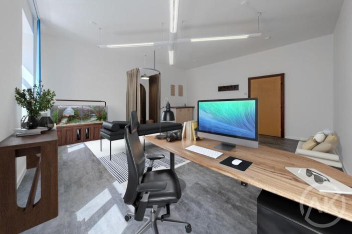 Pronájem kanceláře, Ostrava - Přívoz, Libušina, 29 m2