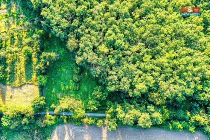 Prodej zahrady, Plzeň - Božkov, 1604 m2