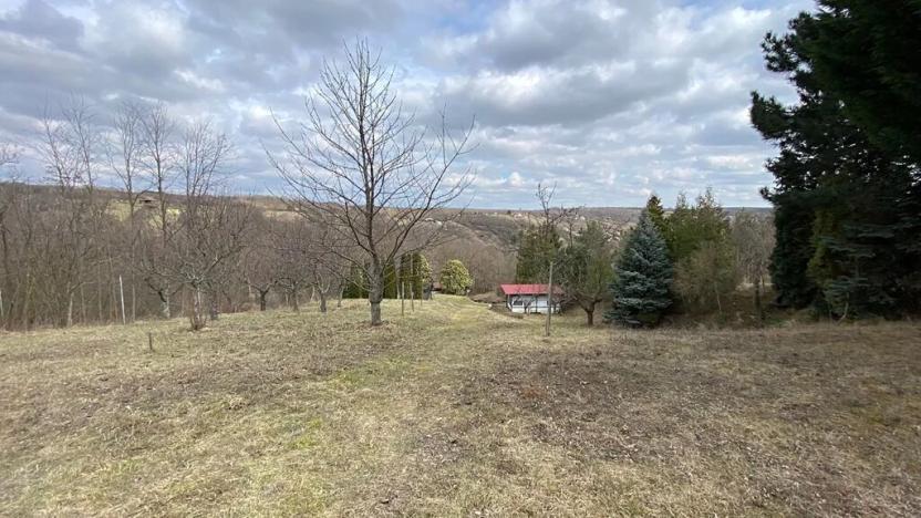 Prodej zahrady, Dolní Kounice, 2318 m2