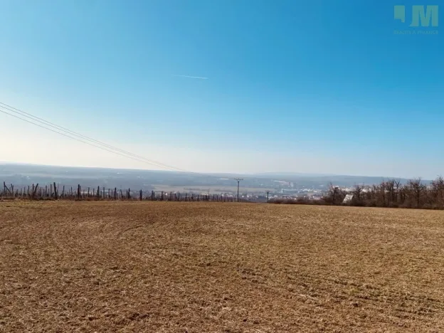 Prodej zahrady, Dobšice, 7000 m2