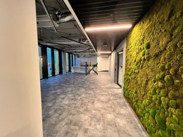 Pronájem kanceláře, Praha - Vokovice, Evropská, 600 m2