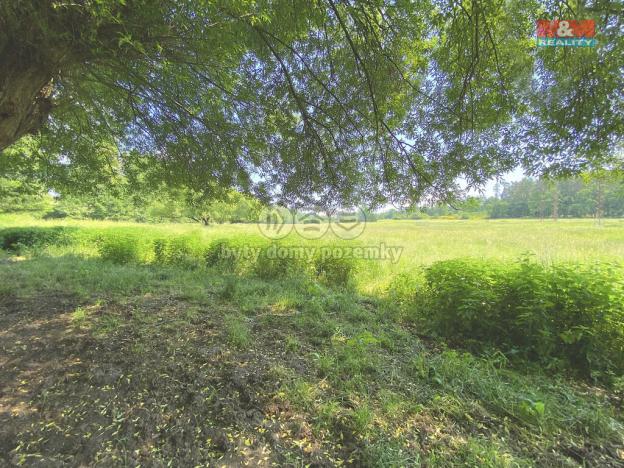 Prodej louky, Bukovany, 1264 m2