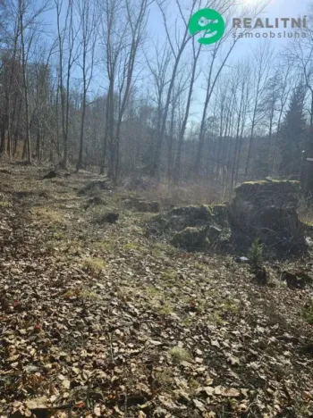 Prodej pozemku pro bydlení, Vysoké nad Jizerou - Stará Ves, 482 m2