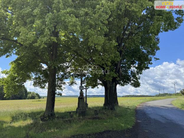 Prodej rodinného domu, Dražíč - Karlov-Nepomuk, 214 m2