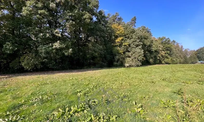 Prodej pozemku pro bydlení, Louňovice, Na Konci, 4297 m2