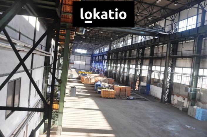 Pronájem skladu, Hradec Králové - Plotiště nad Labem, 5000 m2