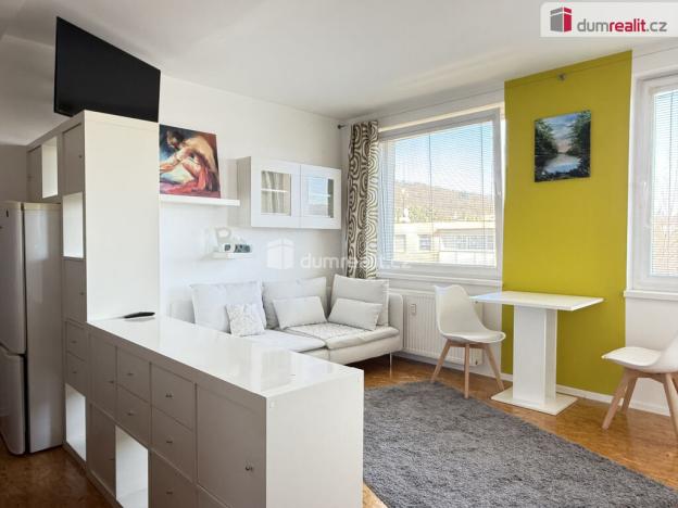 Pronájem bytu 1+kk, Ústí nad Labem - Krásné Březno, V Oblouku, 31 m2