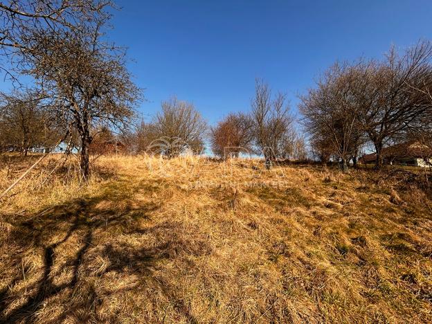 Prodej pozemku pro bydlení, Lično, 1777 m2