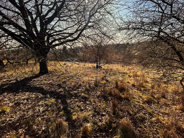 Prodej pozemku pro bydlení, Lično, 1777 m2