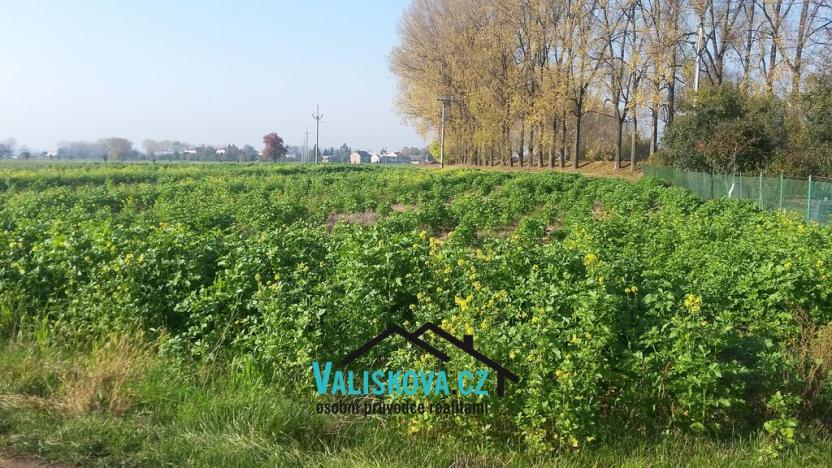 Prodej pole, Hulín, 397 m2