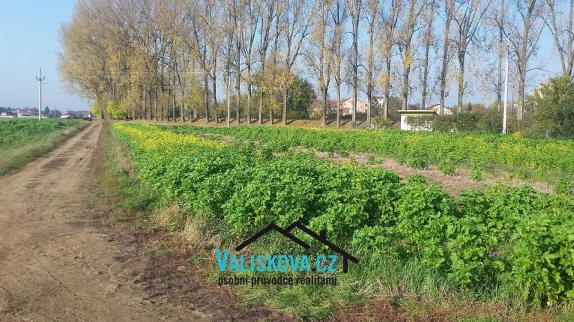 Prodej pole, Hulín, 397 m2