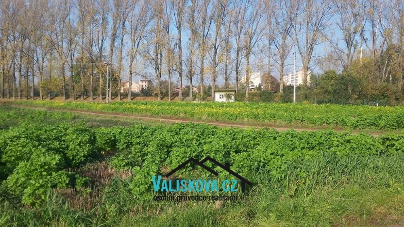 Prodej pole, Hulín, 397 m2