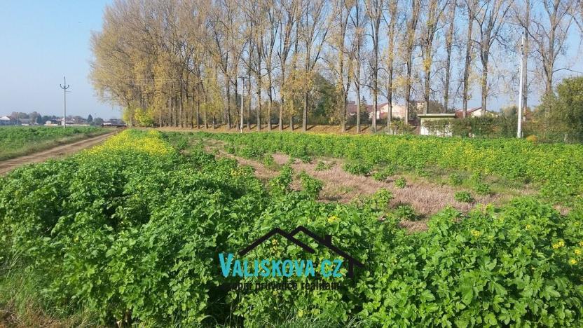 Prodej pole, Hulín, 419 m2