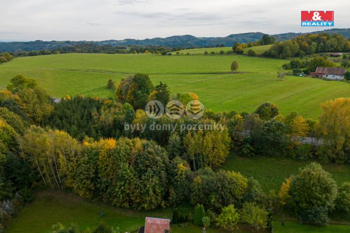 Prodej lesa, Kosov, 752 m2