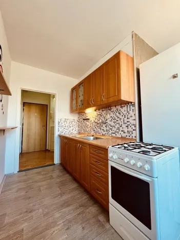Pronájem bytu 1+1, Ostrava - Výškovice, Lužická, 38 m2