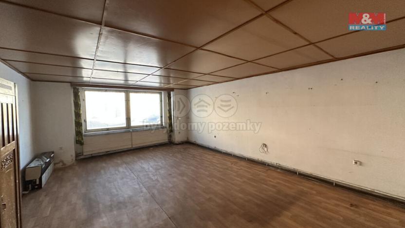 Prodej rodinného domu, Veselí nad Lužnicí - Veselí nad Lužnicí I, Budějovická, 290 m2