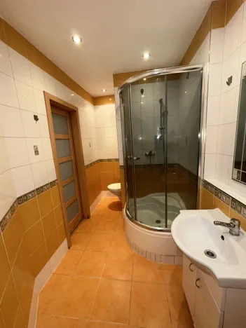 Pronájem bytu 2+kk, České Budějovice - České Budějovice 2, Dlouhá, 42 m2