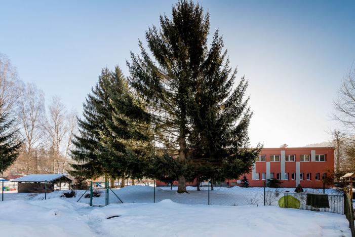 Prodej rodinného domu, Plavy, 90 m2