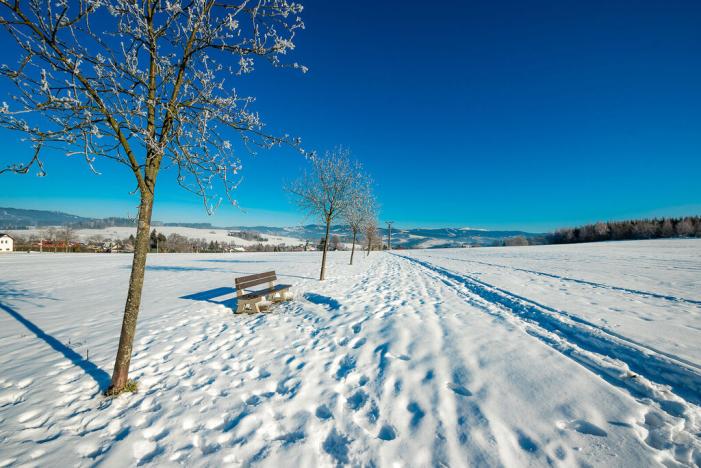 Prodej rodinného domu, Plavy, 90 m2