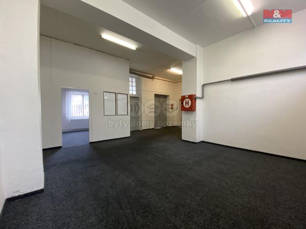 Pronájem skladu, Louny, Říční, 150 m2