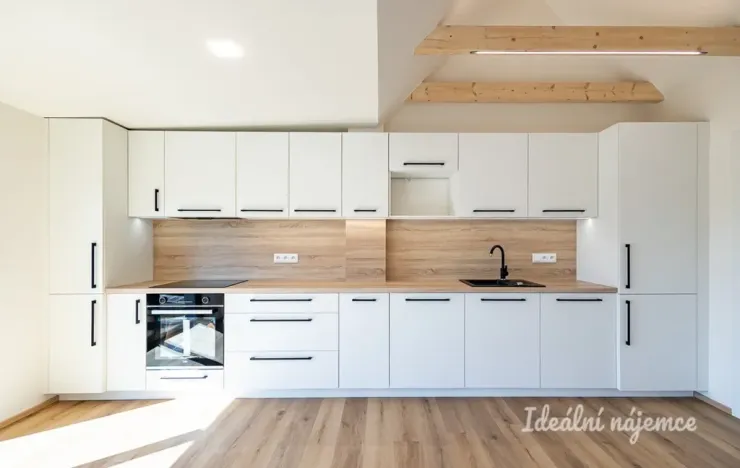 Pronájem bytu 3+kk, Hradec Králové - Pražské Předměstí, Albertova, 55 m2