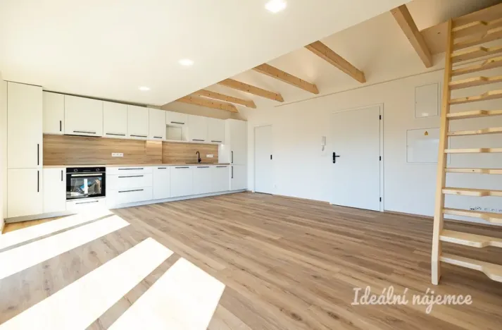 Pronájem bytu 3+kk, Hradec Králové - Pražské Předměstí, Albertova, 55 m2