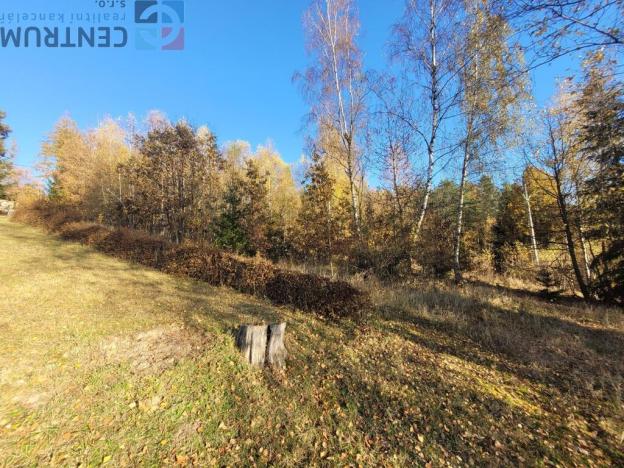 Prodej louky, Železný Brod - Bzí, 6834 m2