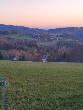 Prodej louky, Železný Brod - Bzí, 6834 m2
